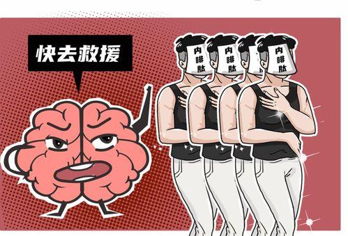 虐并快乐着,探寻痛苦与幸福交织的人生奥秘