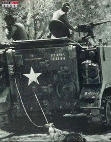 血虎：家族内战