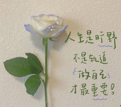 此情唯你可消,探寻爱情的唯一救赎